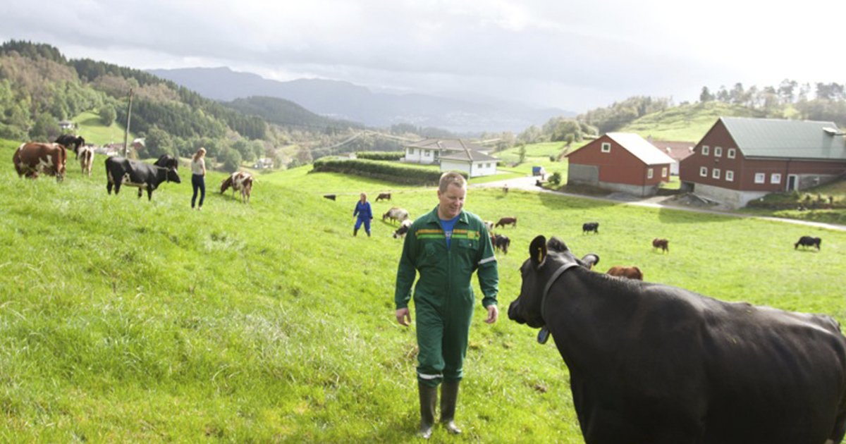 Rural communities and the future of Norway’s family farms